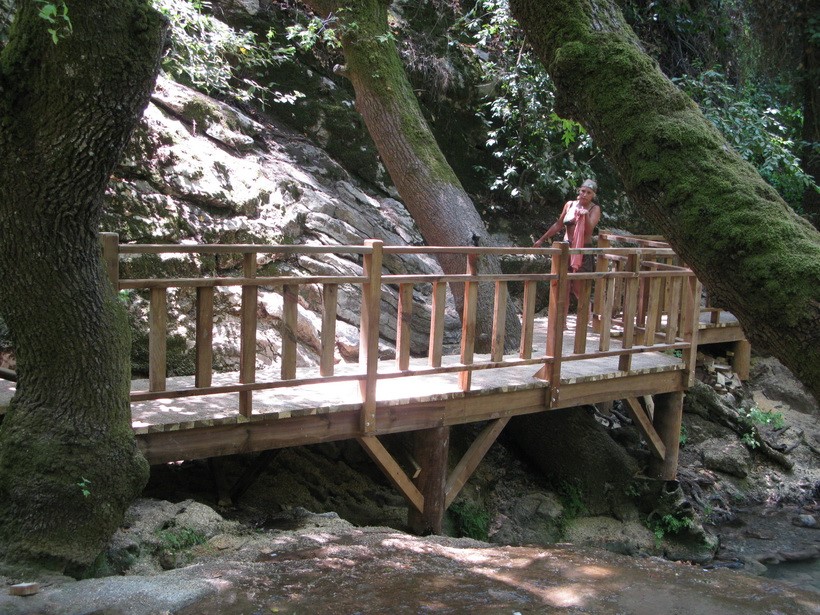 AHASAP ÇİT  TURGUT SELALE2